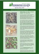 July 10 Agronomy Update