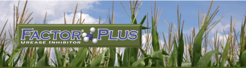 Factor Plus fact sheet photo