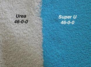 Urea vs. Super U