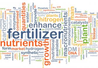 fertilizer and nutrient word cloud