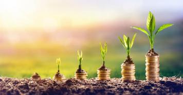 plants and coins rsz