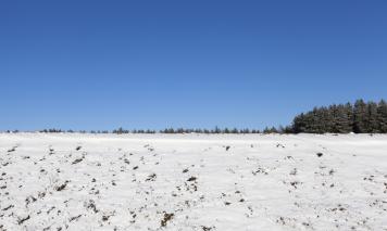 snowy field