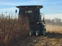 Bostrom corn plot harvest