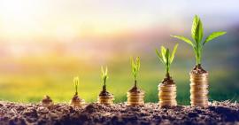 plants and coins rsz